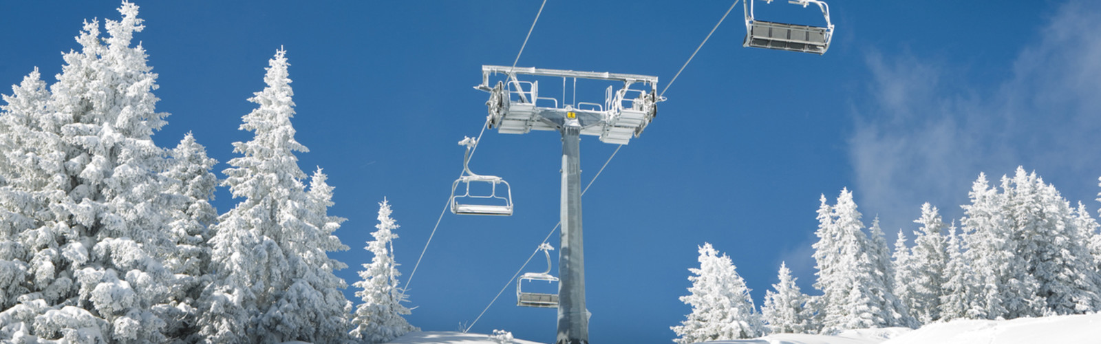 Vue de télésièges au-dessus d’une montagne et d’arbres enneigés.