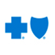 Logo for "Blue Cross and Blue Shield of Massachusetts Foundation for Expanding healthcare Access"