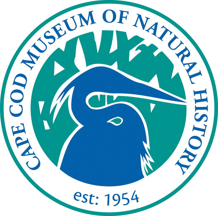 Logo for "Cape Cod Museum of Natural History"