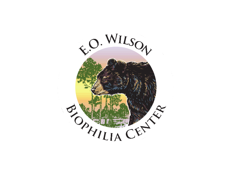 Logo for "NOKUSE EDUCATION INC"