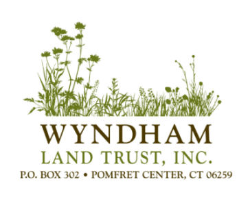 Logo for "WYNDHAM LAND TRUST INC"