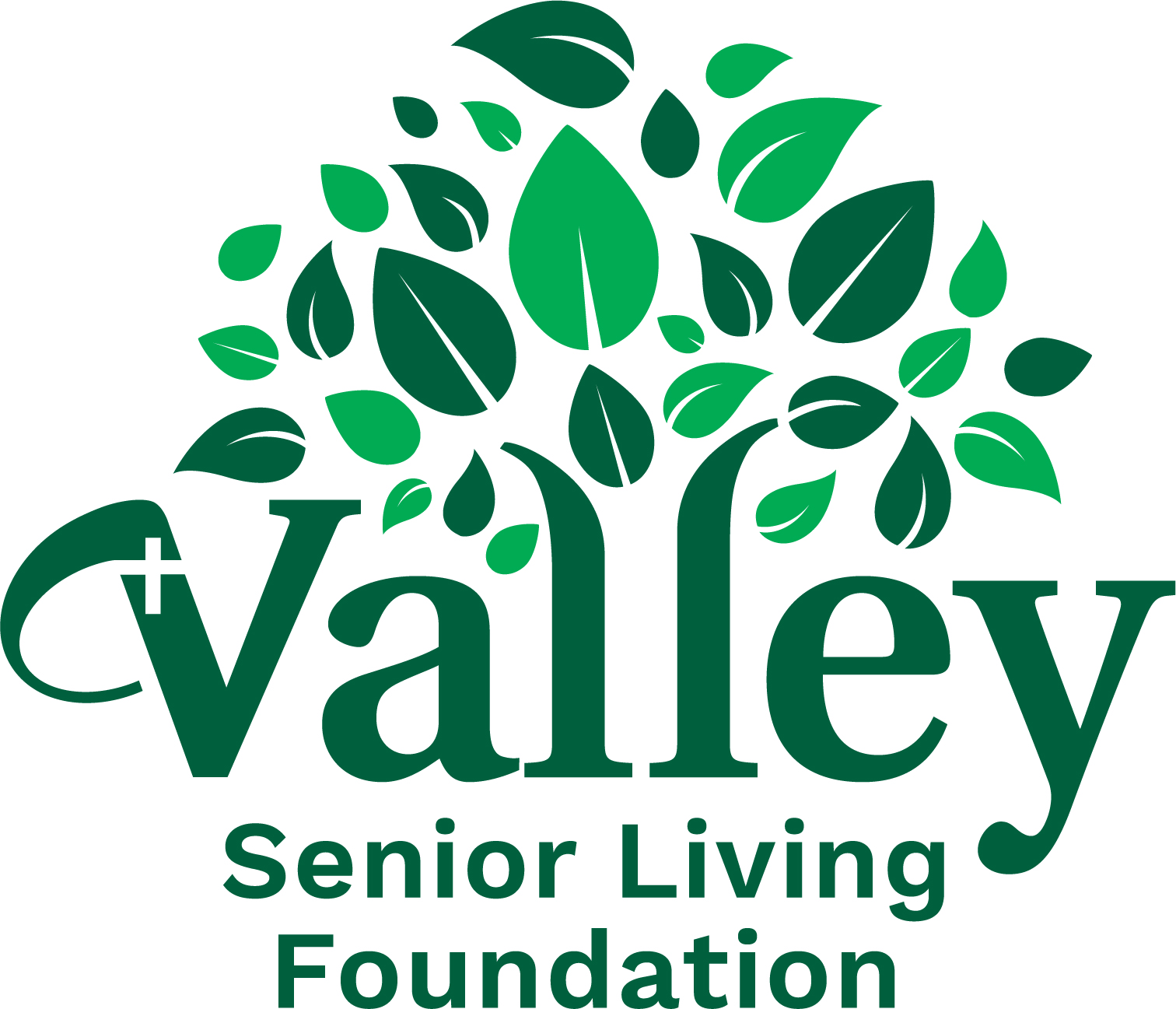 Logo for "VALLEY SENIOR LIVING FOUNDATION"