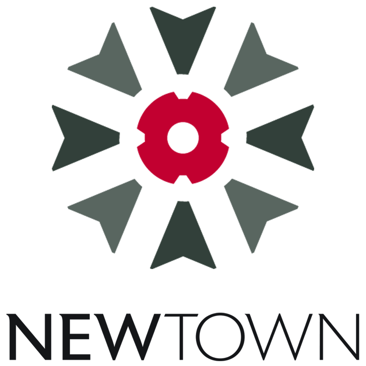 Logo for "NEWTOWN MACON INC"
