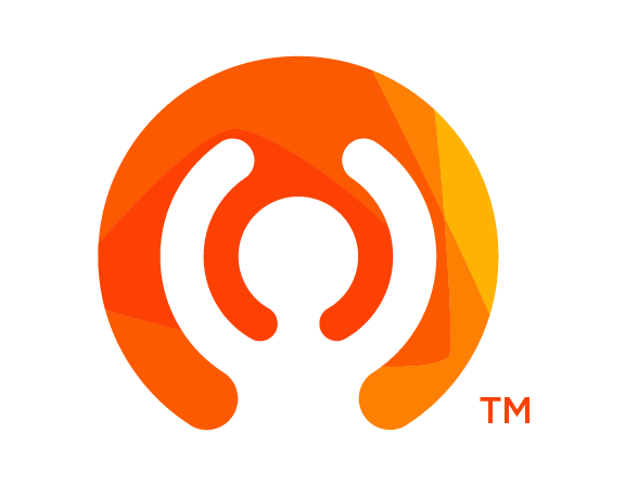 Logo for "Chosen Care Inc"