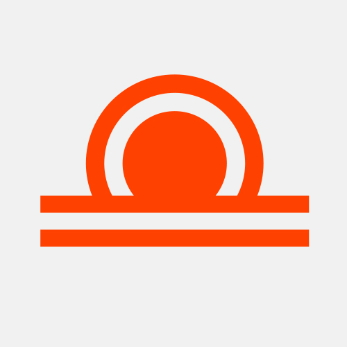 Logo for "THE BRAIN ANEURYSM FOUNDATION INC"