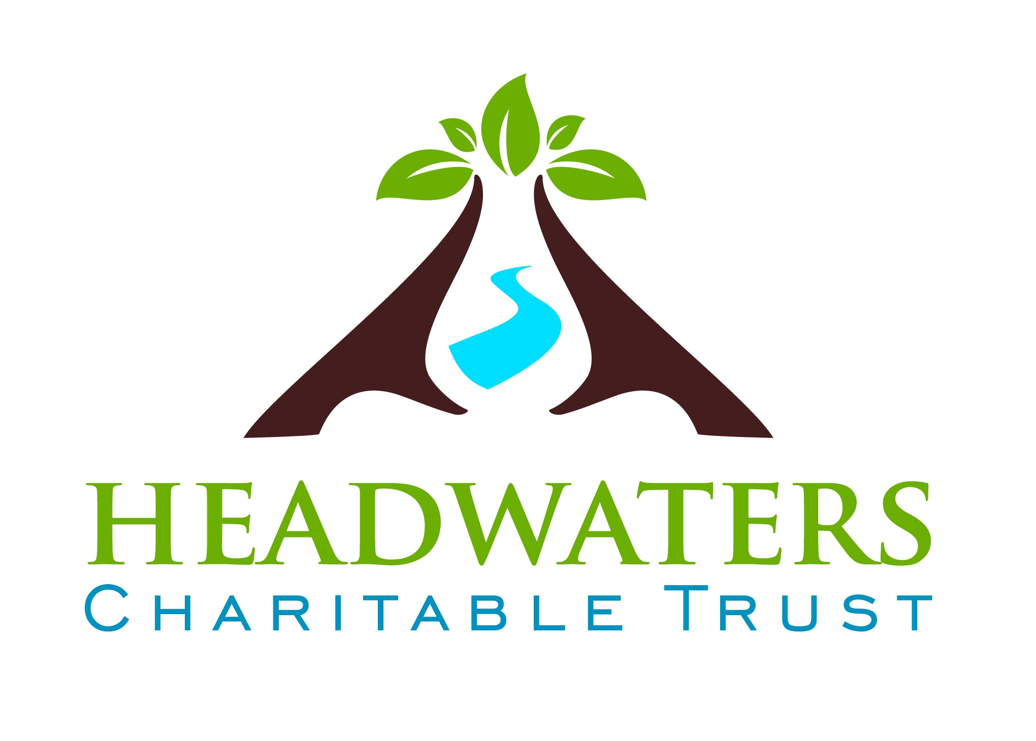 Logo for "HEADWATERS CHARITABLE TRUST"
