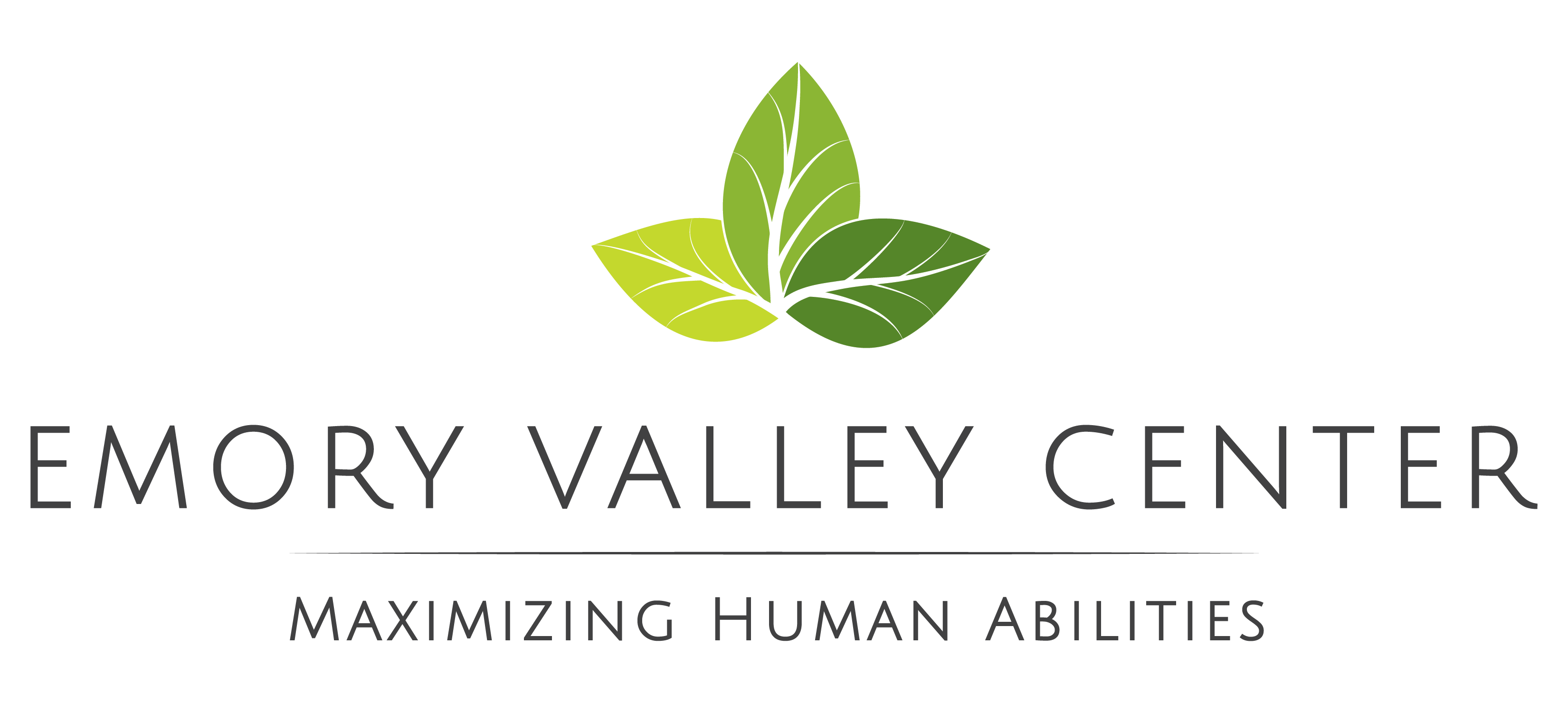 Logo for "EMORY VALLEY CENTER INC"