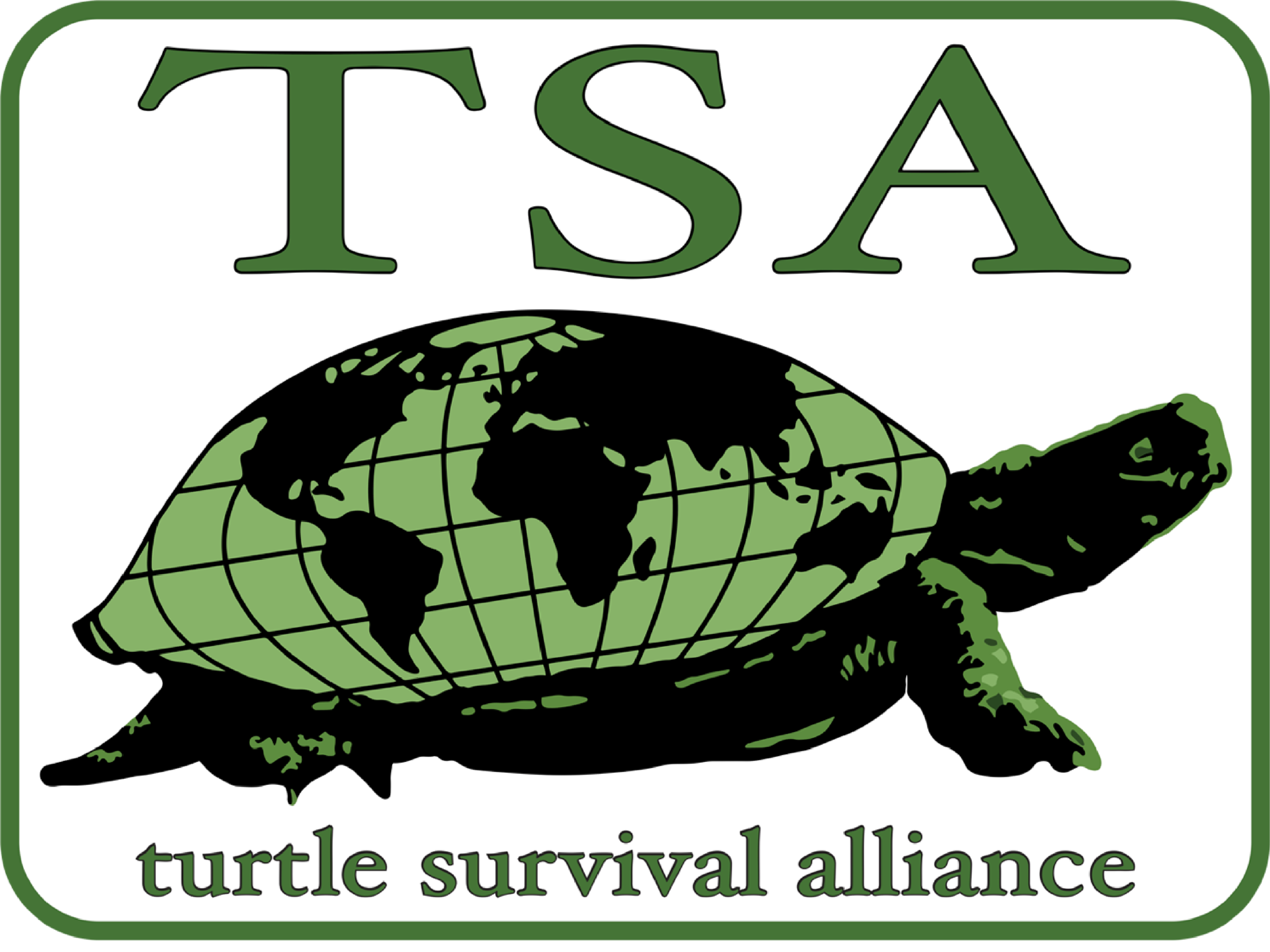 Logo for "THE TURTLE SURVIVAL ALLIANCE FOUNDATION"