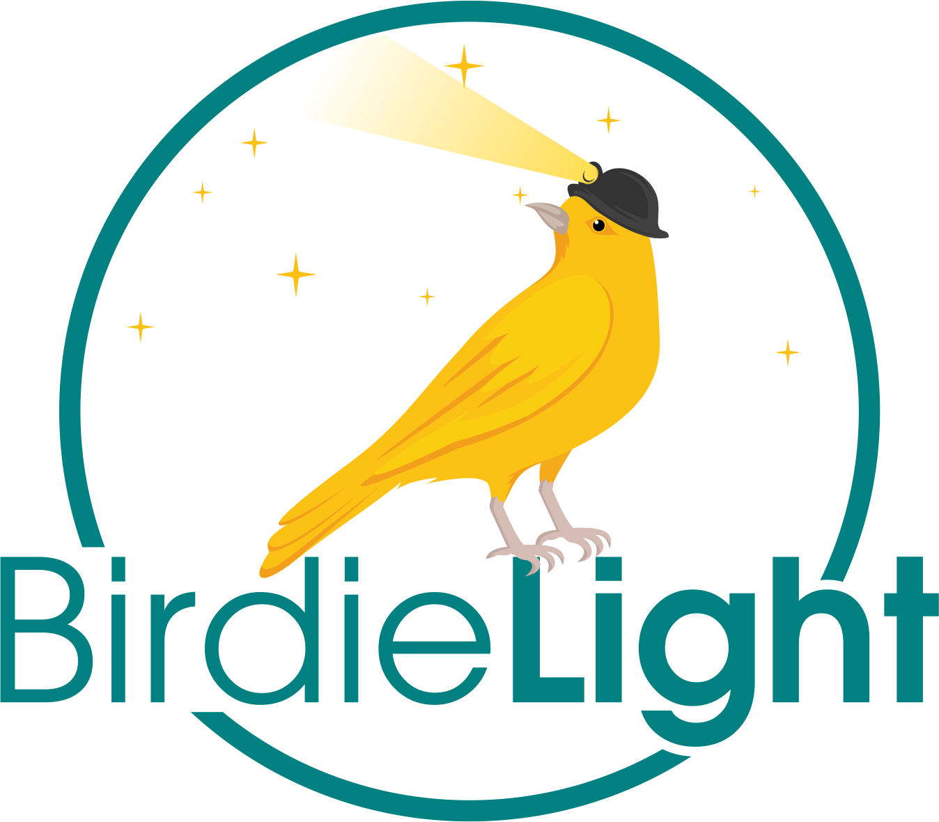 Logo for "BirdieLight"