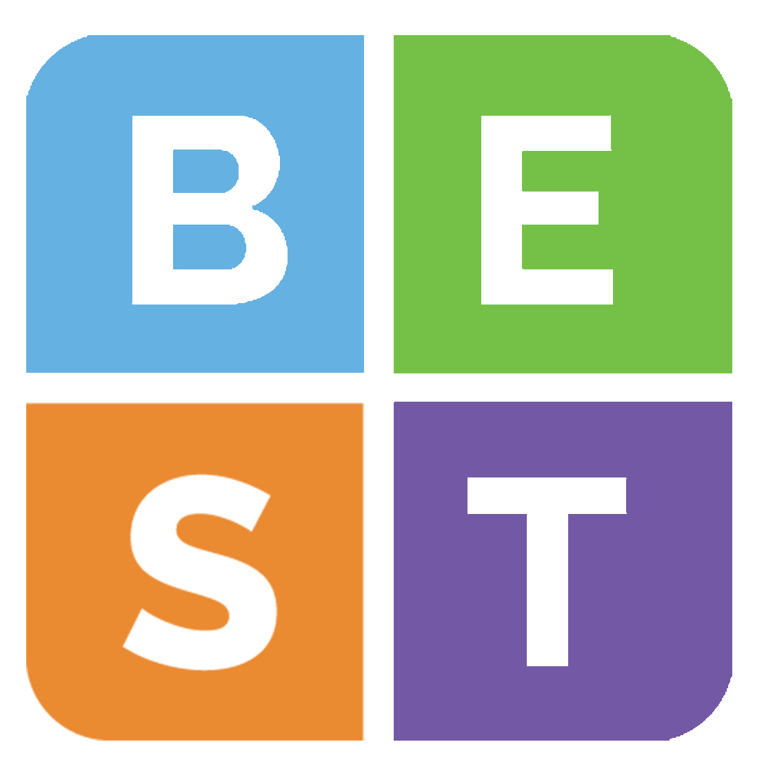 Logo for "BRAIN EDUCATION STRATEGIES AND TECHNOLOGY INC"