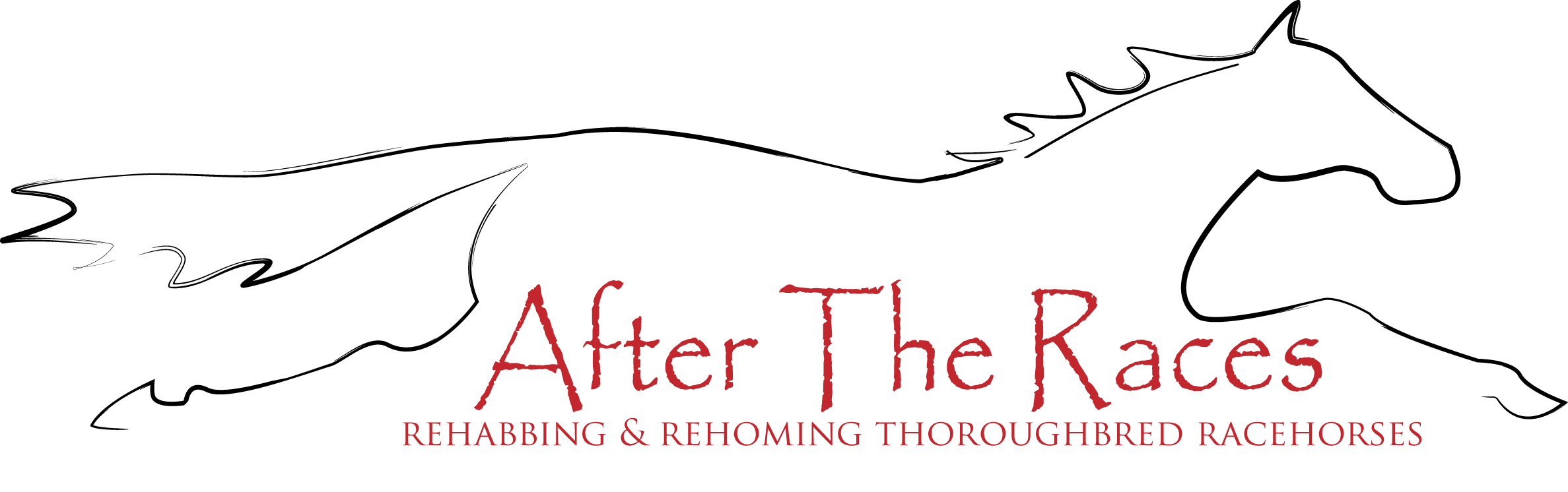 Logo for "AFTER THE RACES INC"