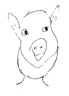 Logo for "THE MARY C SCHANZ FOUNDATION"