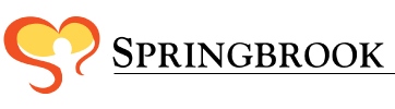 Logo for "SPRINGBROOK NY INC"