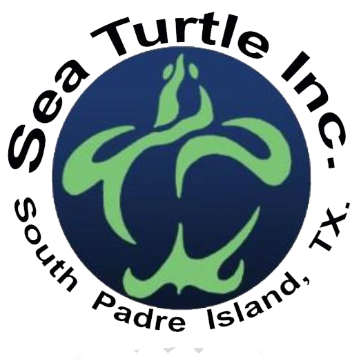 Logo for "SEA TURTLE INC"