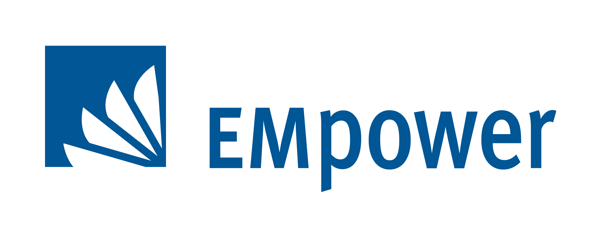 Logo for "EMPOWER-THE EMERGING MARKETS FOUNDATION"