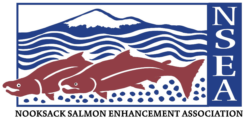 Logo for "NOOKSACK SALMON ENHANCEMENT ASSOCIATION"