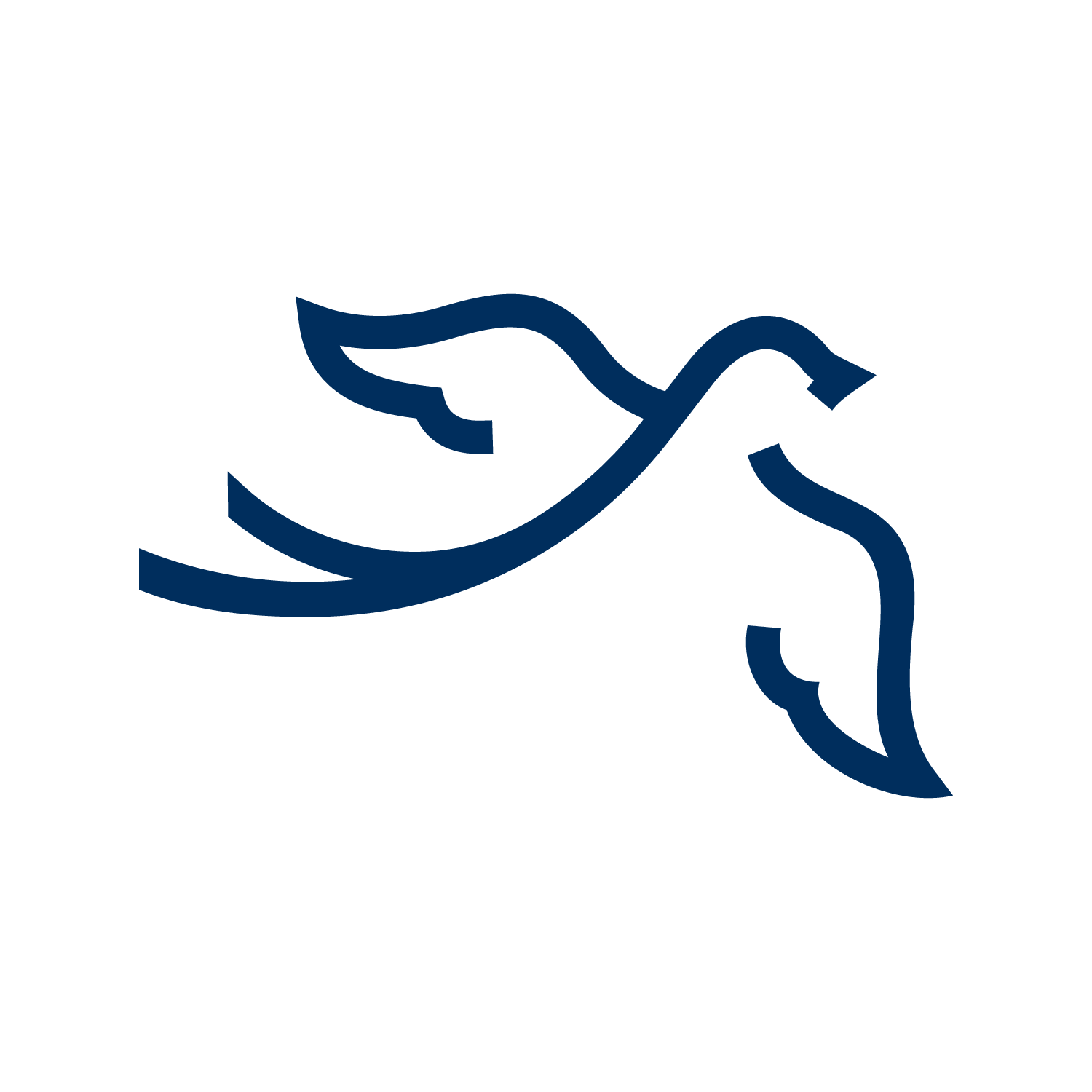 Logo for "THE TAHIRIH JUSTICE CENTER"