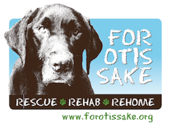 Logo for "FOR OTIS SAKE"