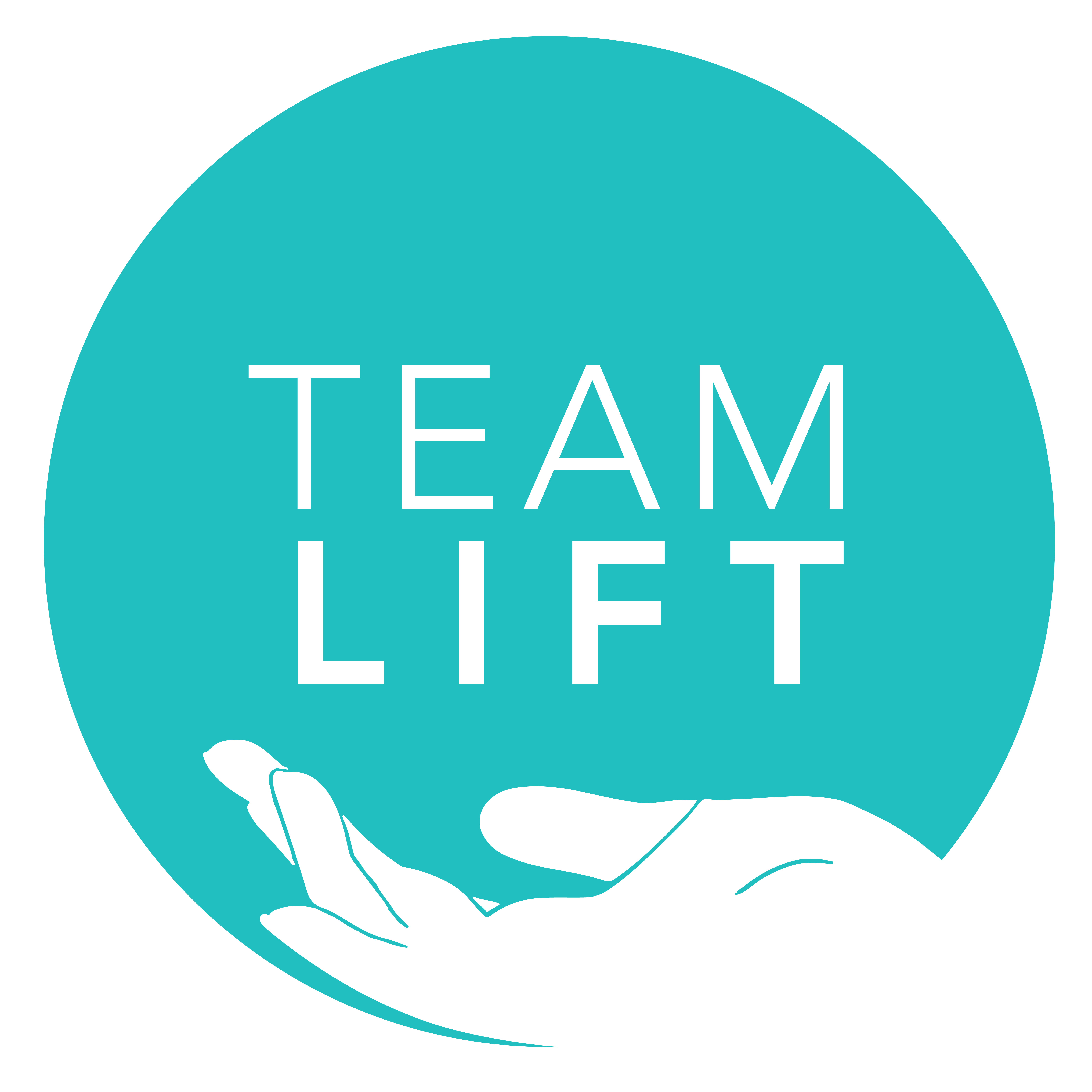 Logo for "TeamLift Inc"