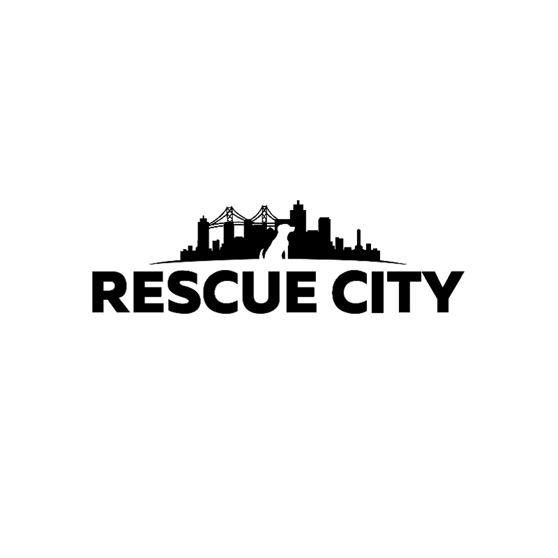 Logo for "RESCUE CITY INC"