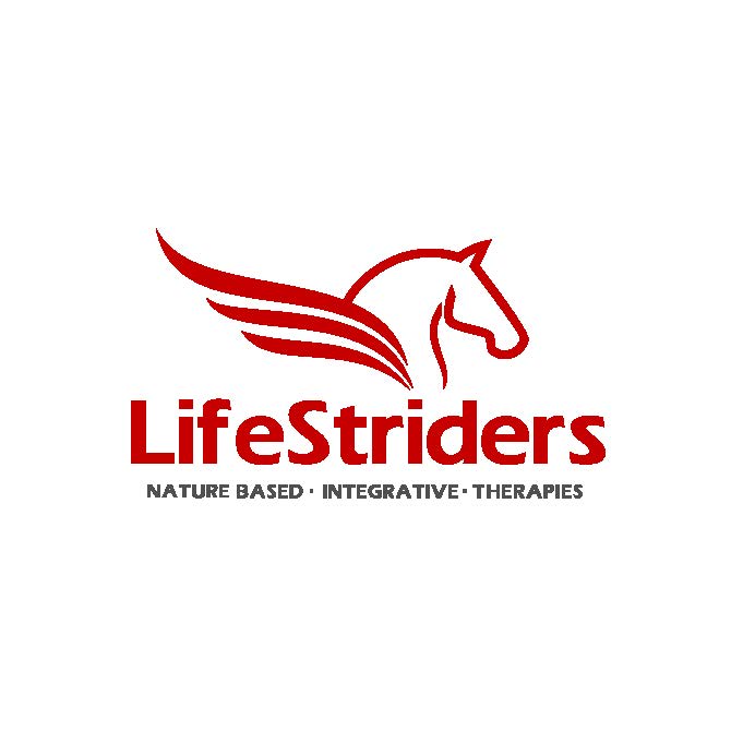 Logo for "LIFESTRIDERS INC"