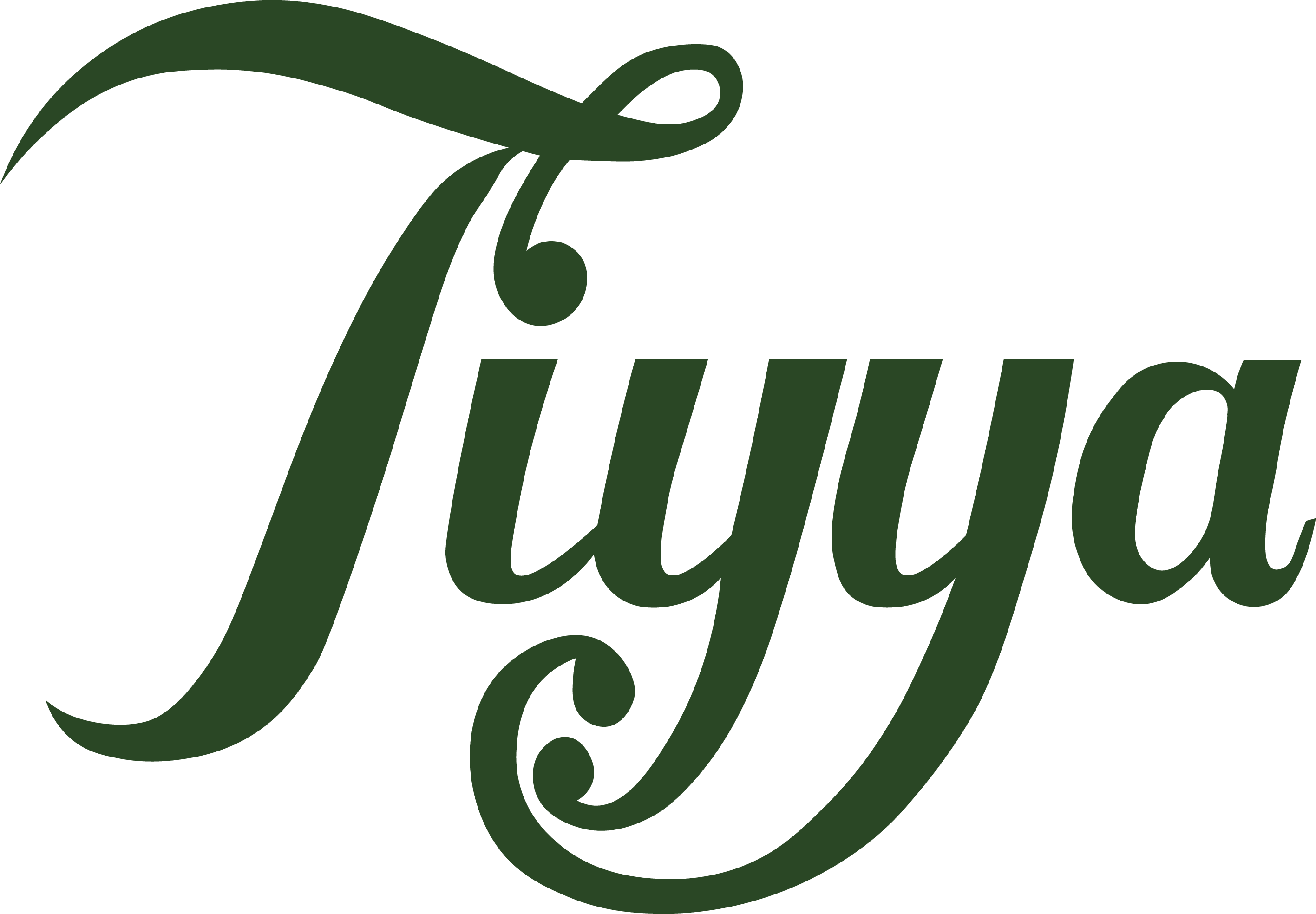 Logo for "TIYYA FOUNDATION INC"