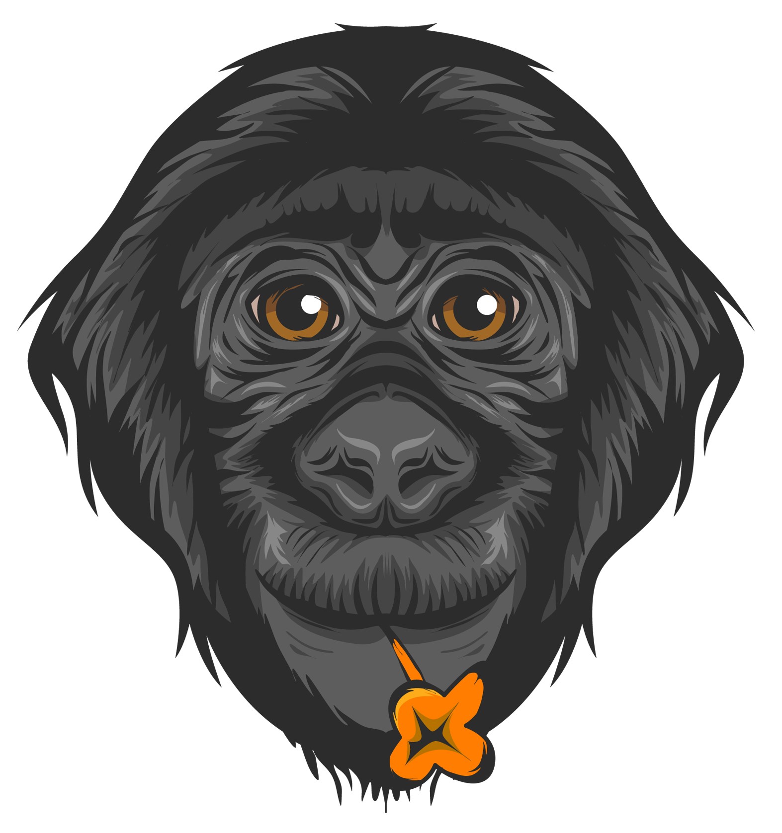 Logo for "FRIENDS OF BONOBOS"