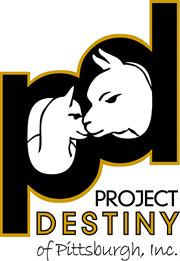 Logo for "PROJECT DESTINY INC"