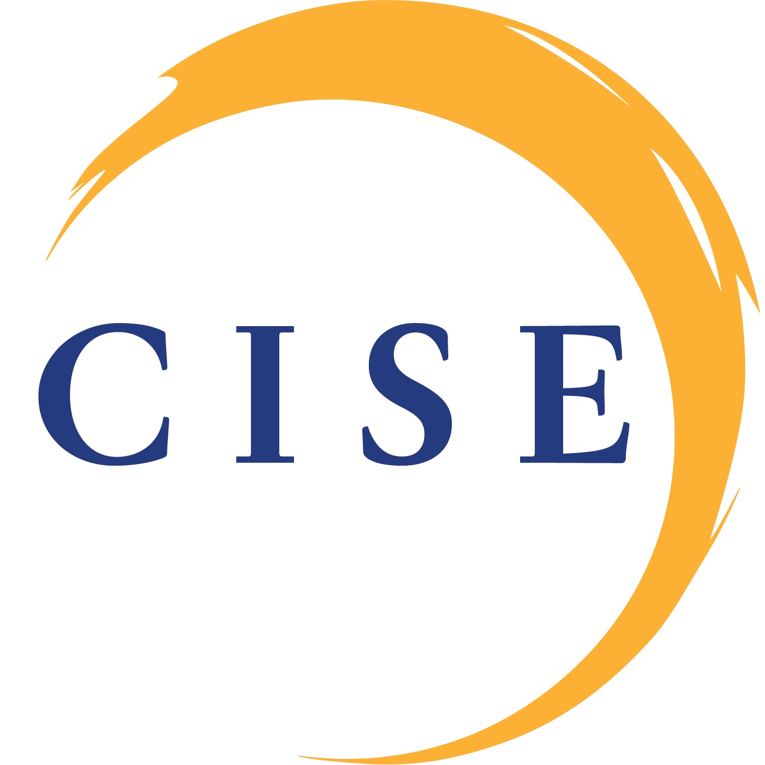 Logo for "CISE"