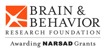 Logo for "NATIONAL ALLIANCE FOR RESEARCH ON SCHIZOPHRENIA AND DEPRESSION"