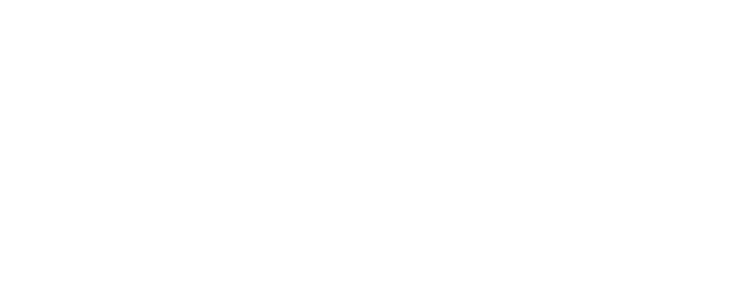 Logo for "THE RAINBOW NETWORK INC"