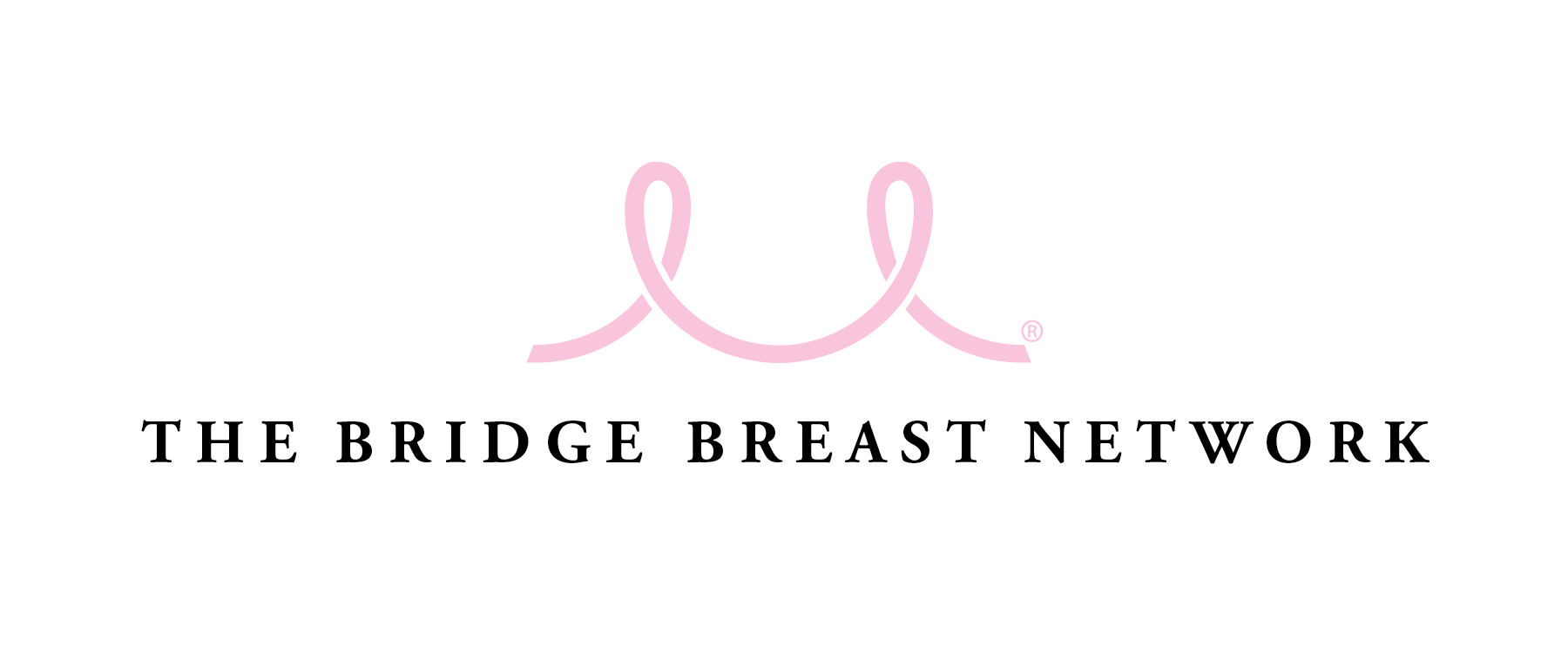Logo for "THE BRIDGE BREAST NETWORK INC"