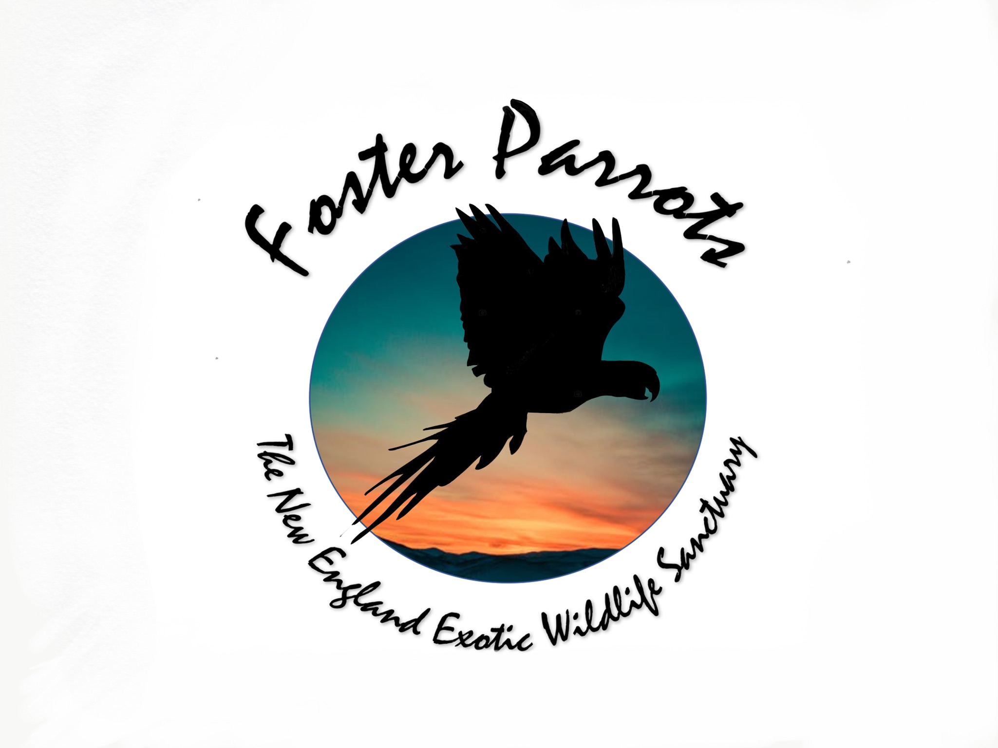 Logo for "FOSTER PARROTS LTD"