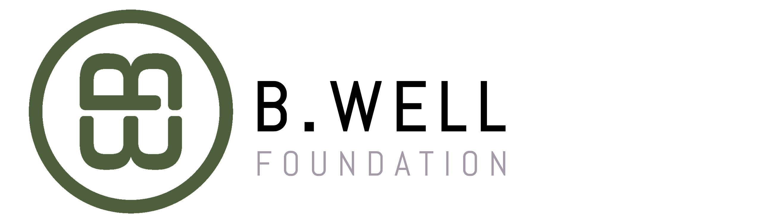 Logo for "B WELL FOUNDATION INC"