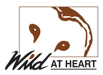 Logo for "WILD AT HEART INC"