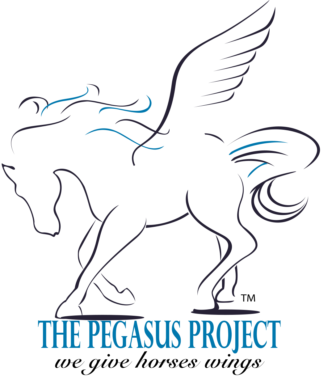 Logo for "THE PEGASUS PROJECT INC"