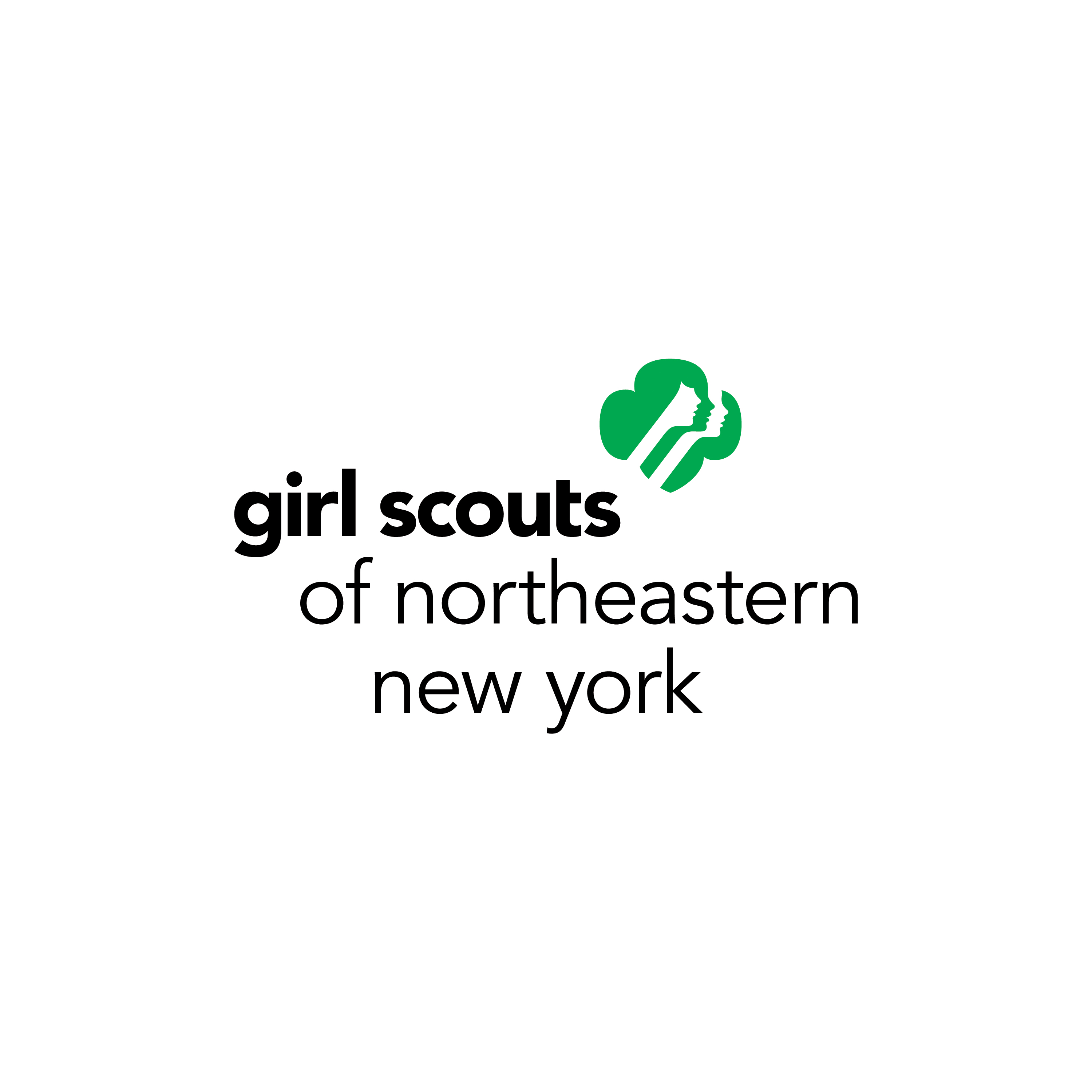 Logo for "GIRL SCOUTS OF NORTHEASTERN NEW YORK"