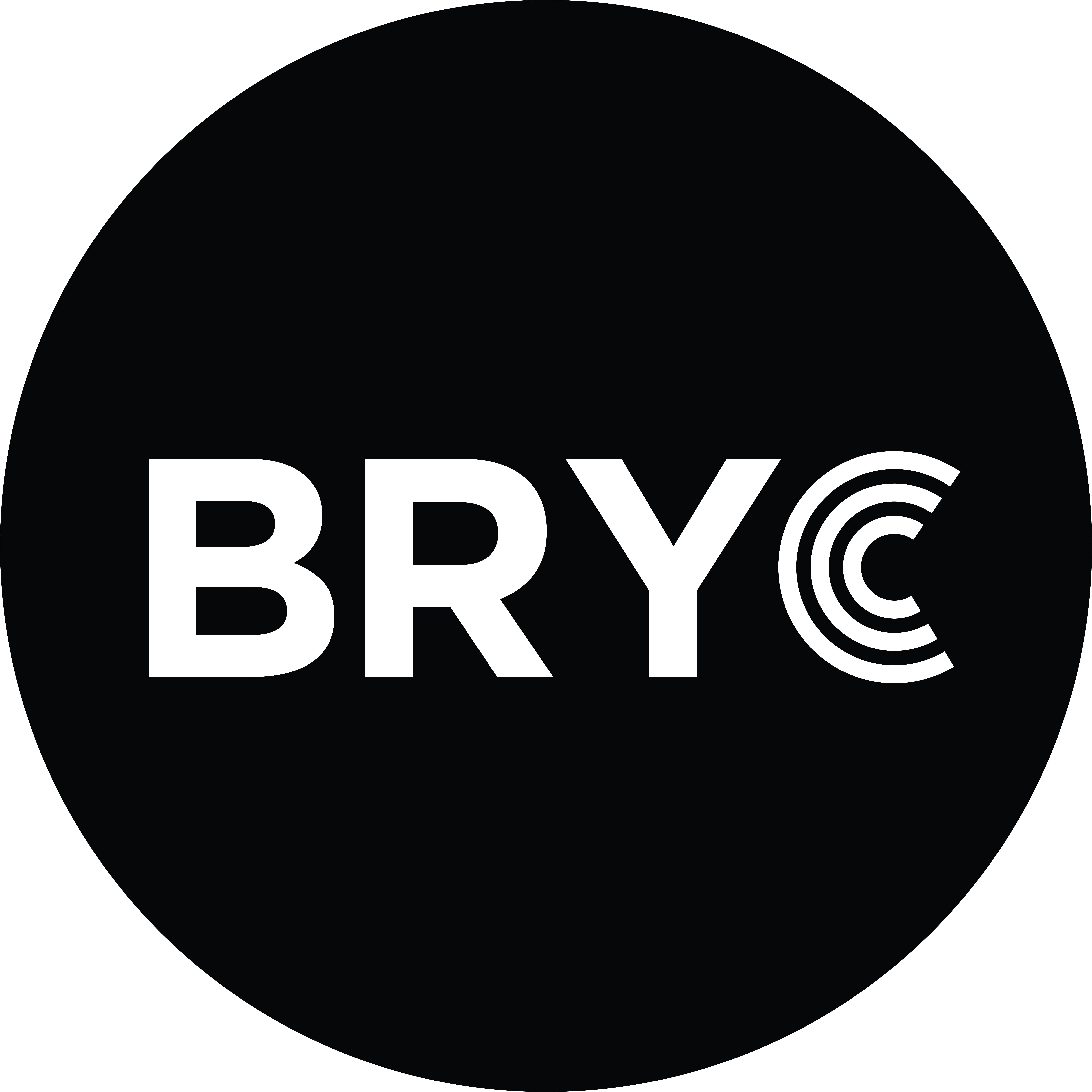 Logo for "Baton Rouge Youth Coalition Inc"