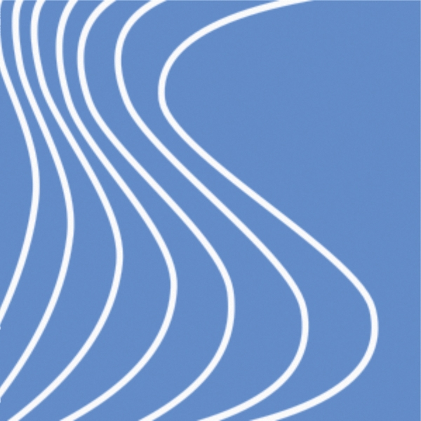 Logo for "AMERICAN SKIN ASSOCIATION INC"