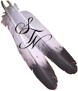 Logo for "SPOKANE TRIBAL NETWORK"