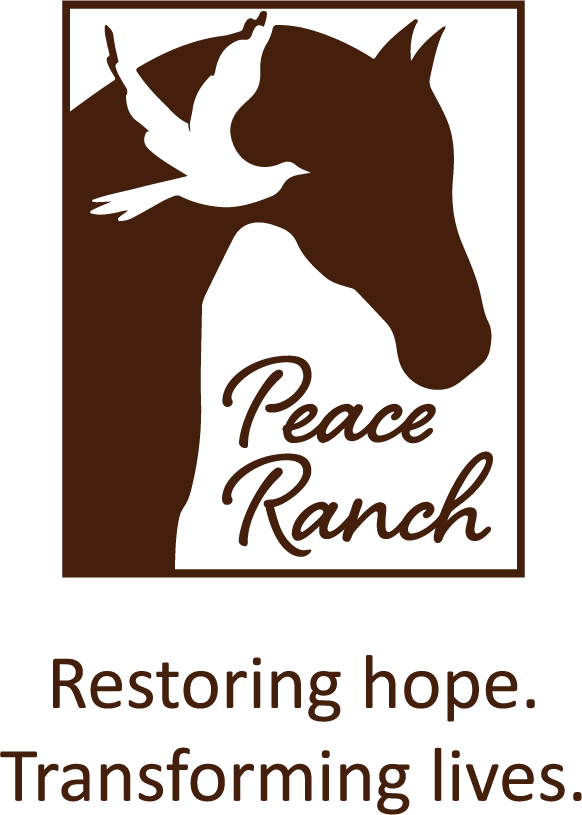 Logo for "PARAKLESIS INC"