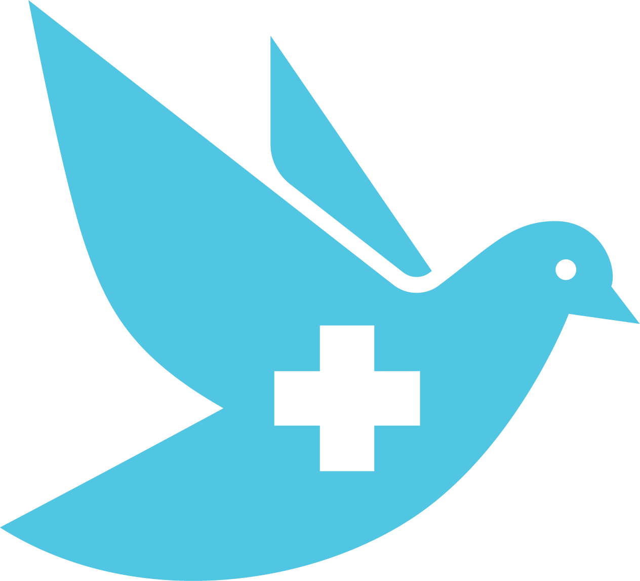 Logo for "WORLD PEDIATRICS"