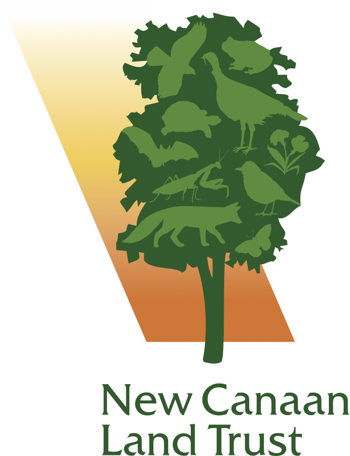 Logo for "NEW CANAAN LAND CONSERVATION TRUST INC"