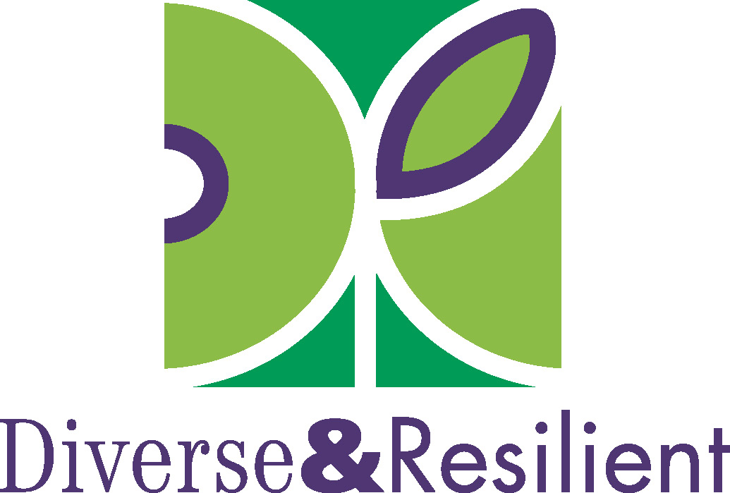 Logo for "DIVERSE AND RESILIENT INC"
