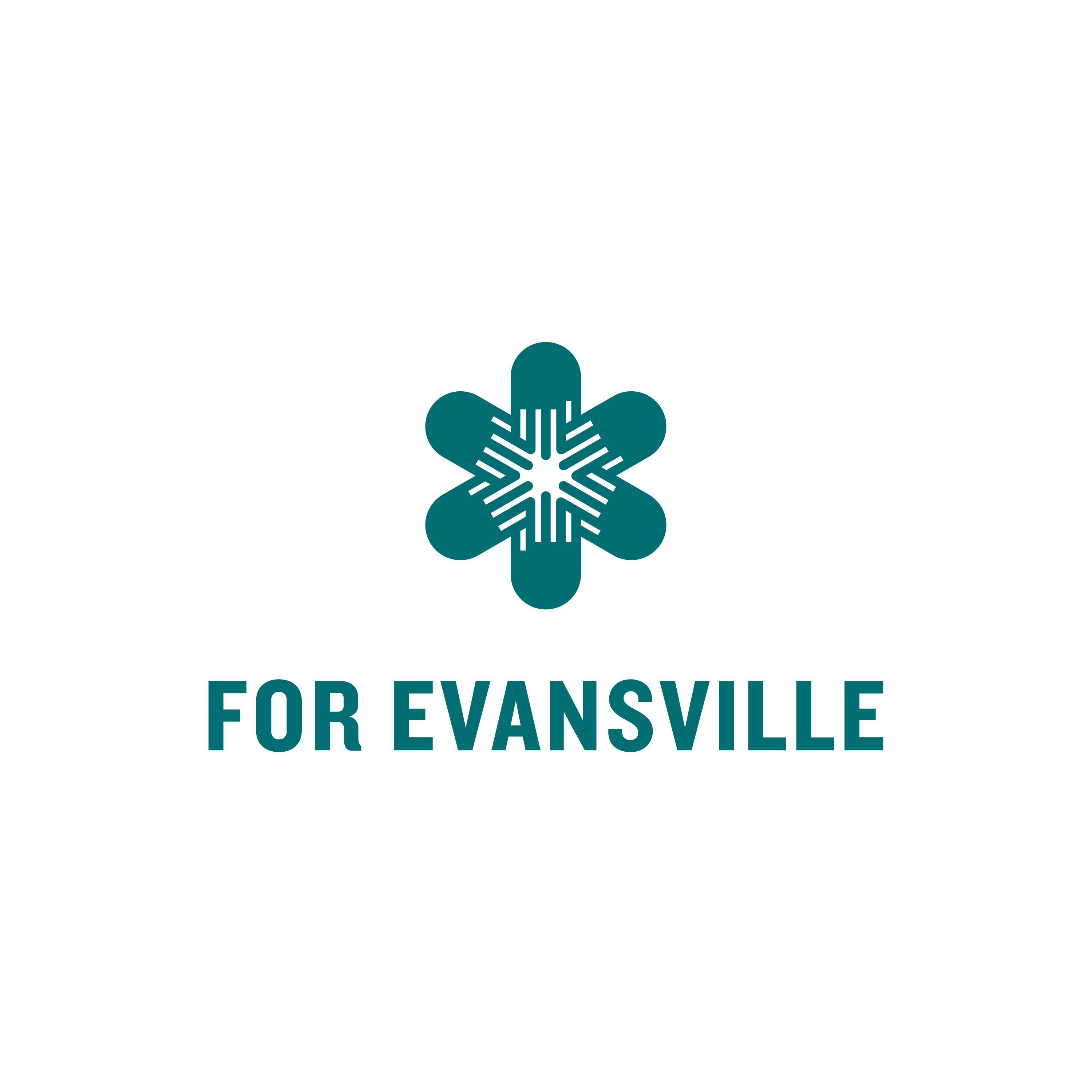 Logo for "For Evansville Inc"
