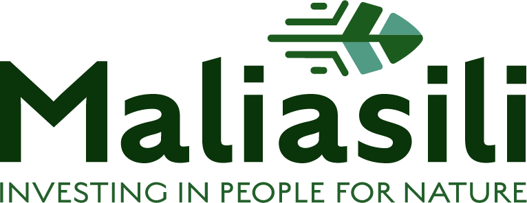 Logo for "MALIASILI INITIATIVES INC"