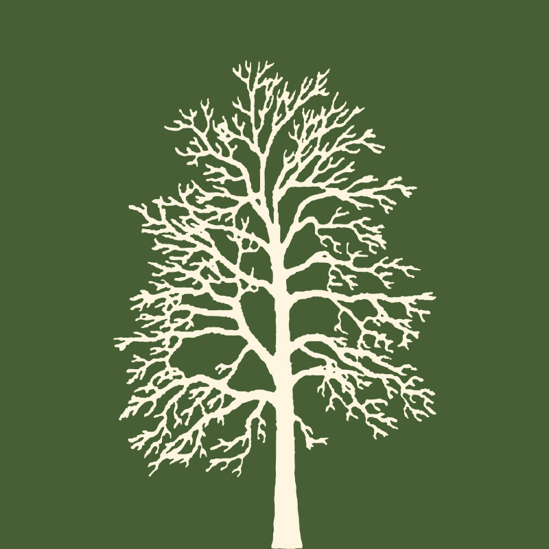 Logo for "SYCAMORE LAND TRUST INCORPORATED"