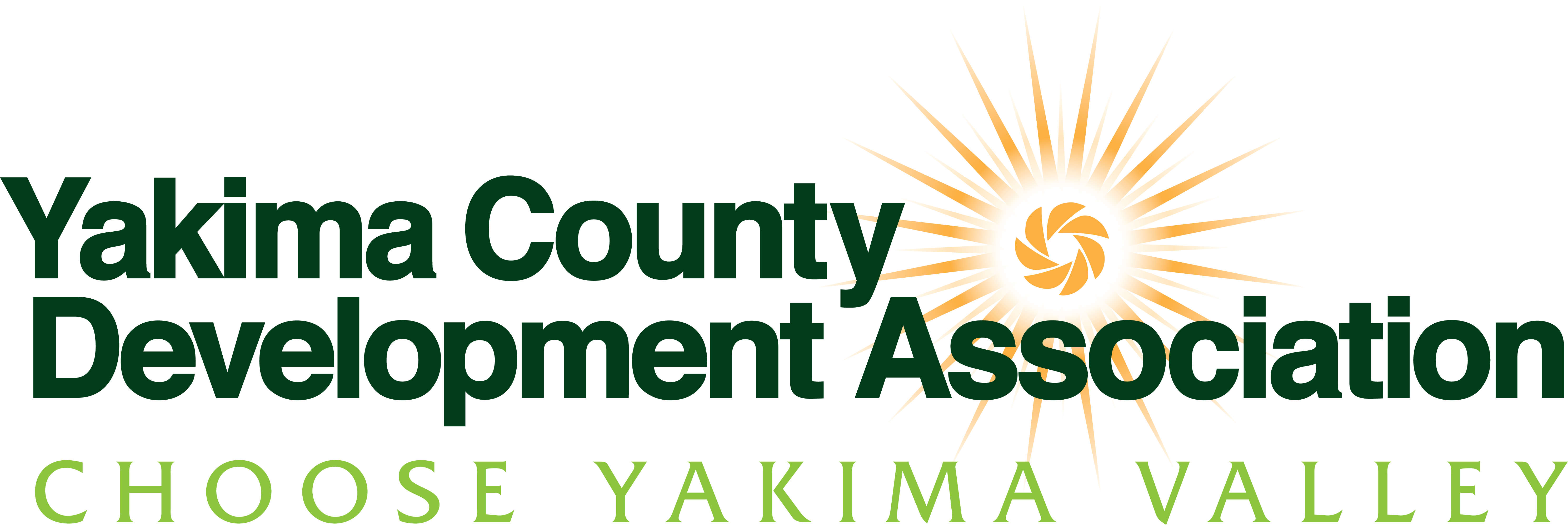 Logo for "YAKIMA COUNTY DEVELOPMENT ASSOCIATION dba NEW VISION FOUNDATION"