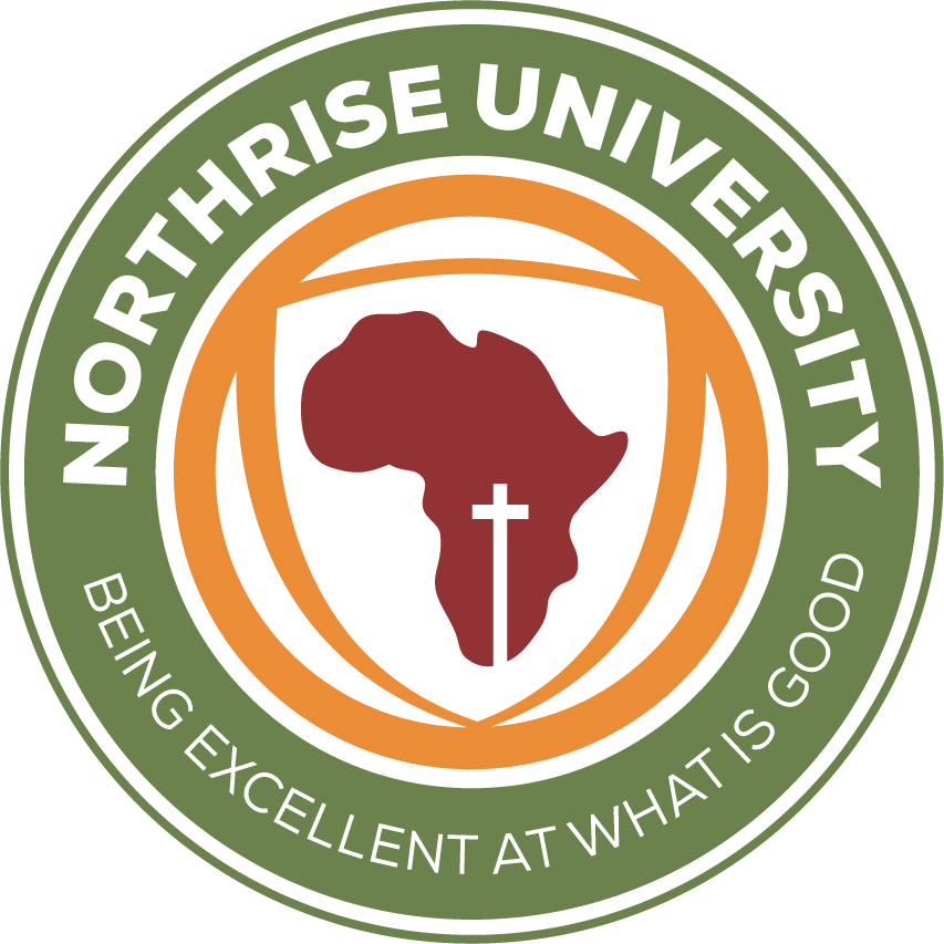 Logo for "NORTHRISE UNIVERSITY INITIATIVE"