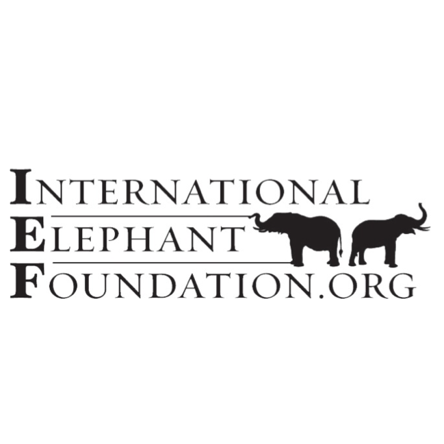Logo for "INTERNATIONAL ELEPHANT FOUNDATION"